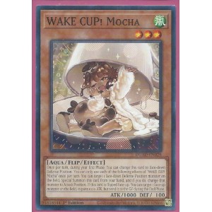 DUAD-EN028 WAKE CUP Mocha – Common